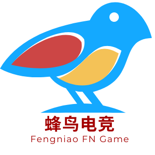 fn 蜂鸟电竞